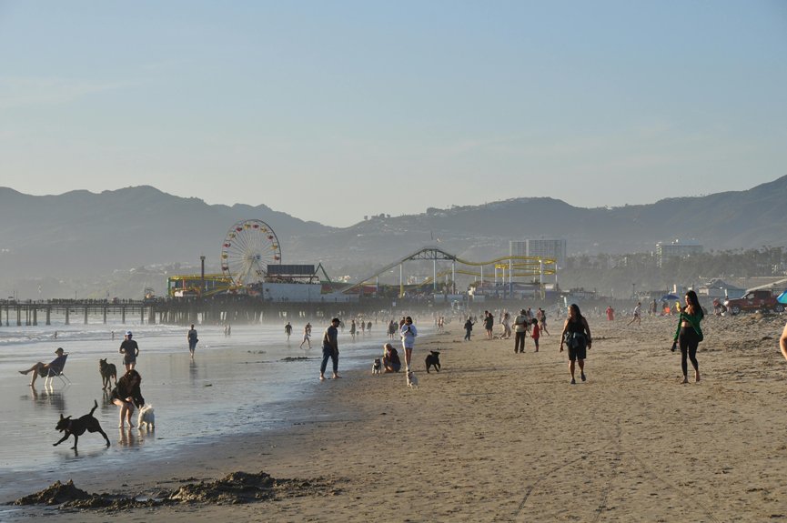dog friendly beaches in los angeles