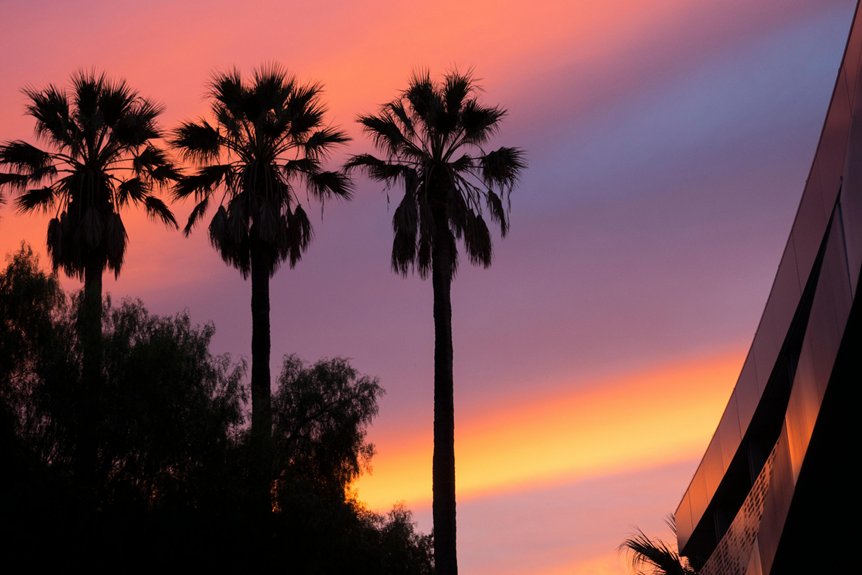 hollywood s cinematic treasures await
