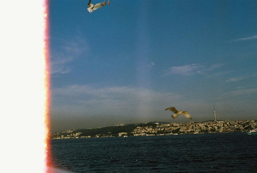 top horror movie spots